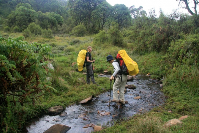 Абердаре (Путешествие в колыбель Обамы - 2, Горный туризм, африка, кения, батиан)