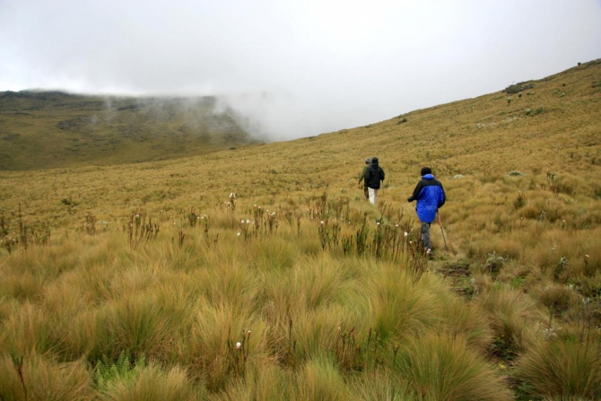 Абердаре (Путешествие в колыбель Обамы - 2, Горный туризм, африка, кения, батиан)