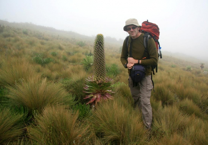 Абердаре (Путешествие в колыбель Обамы - 2, Горный туризм, африка, кения, батиан)