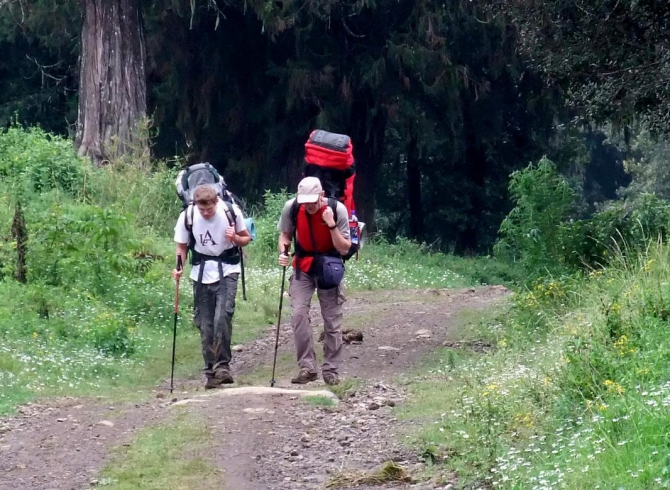Гора Кения (Путешествие в колыбель Обамы - 3, Горный туризм, абердаре, батиан, африка)