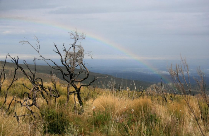Гора Кения (Путешествие в колыбель Обамы - 3, Горный туризм, абердаре, батиан, африка)