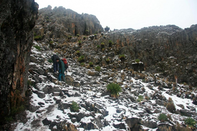 Гора Кения (Путешествие в колыбель Обамы - 3, Горный туризм, абердаре, батиан, африка)