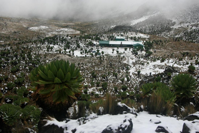 Гора Кения (Путешествие в колыбель Обамы - 3, Горный туризм, абердаре, батиан, африка)