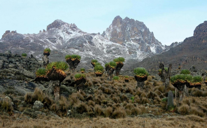 Гора Кения (Путешествие в колыбель Обамы - 4, Горный туризм, абердаре, батиан, африка)