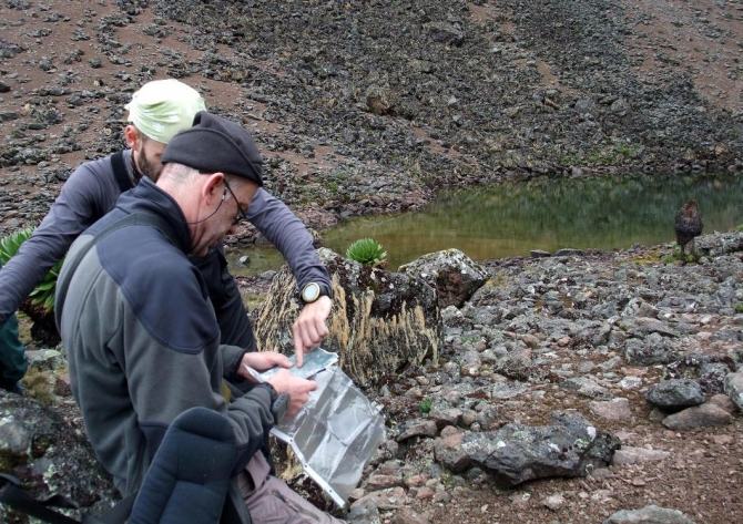 Гора Кения (Путешествие в колыбель Обамы - 4, Горный туризм, абердаре, батиан, африка)