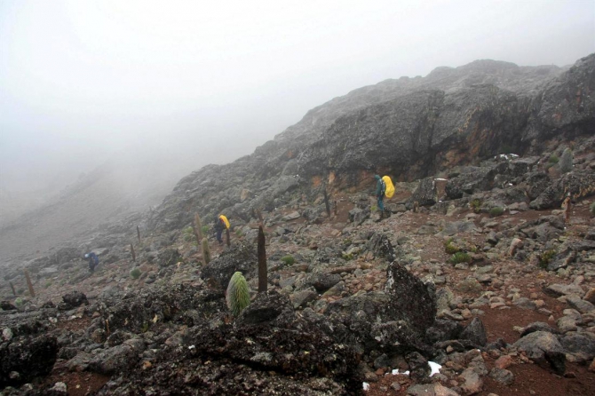 Гора Кения (Путешествие в колыбель Обамы - 4, Горный туризм, абердаре, батиан, африка)
