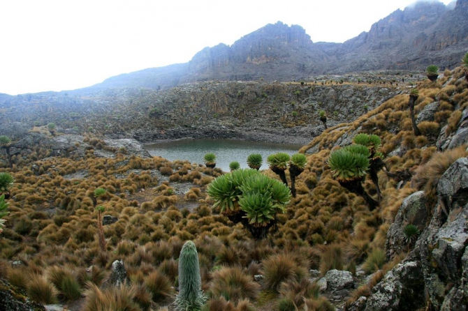 Гора Кения (Путешествие в колыбель Обамы - 4, Горный туризм, абердаре, батиан, африка)