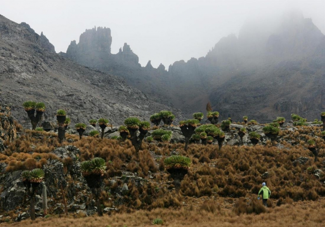 Гора Кения (Путешествие в колыбель Обамы - 4, Горный туризм, абердаре, батиан, африка)