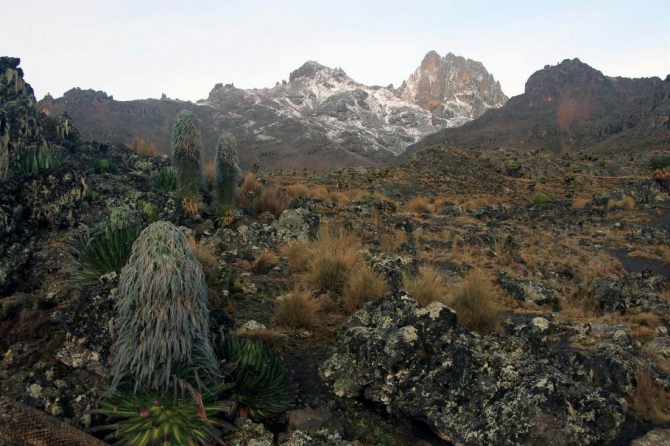 Гора Кения (Путешествие в колыбель Обамы - 4, Горный туризм, абердаре, батиан, африка)