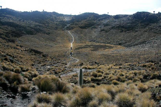 Гора Кения (Путешествие в колыбель Обамы - 4, Горный туризм, абердаре, батиан, африка)