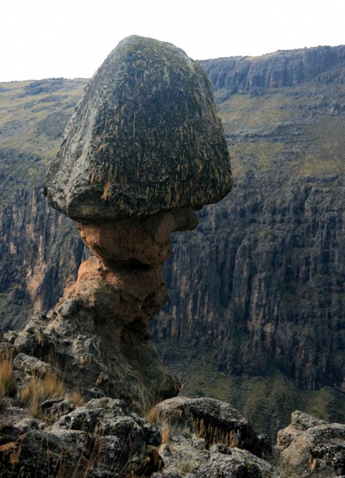 Гора Кения (Путешествие в колыбель Обамы - 4, Горный туризм, абердаре, батиан, африка)