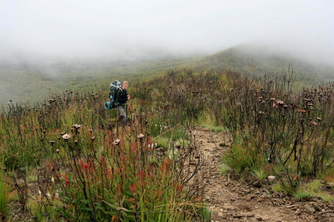 Гора Кения (Путешествие в колыбель Обамы - 4, Горный туризм, абердаре, батиан, африка)
