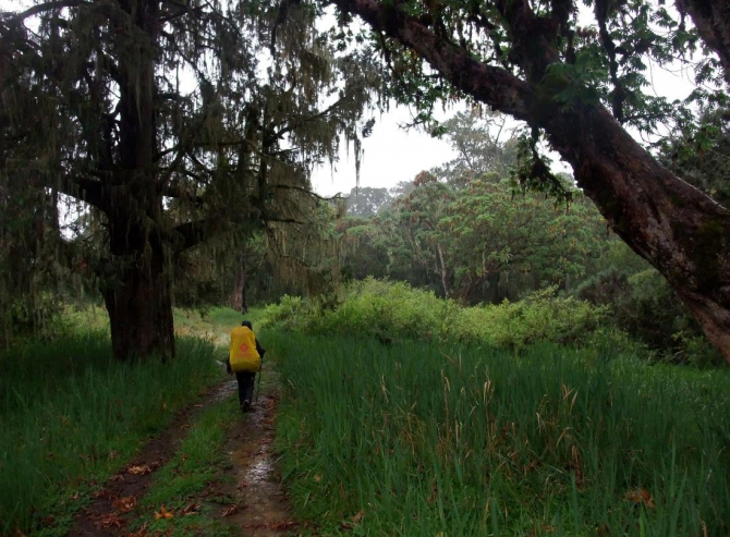 Гора Кения (Путешествие в колыбель Обамы - 4, Горный туризм, абердаре, батиан, африка)