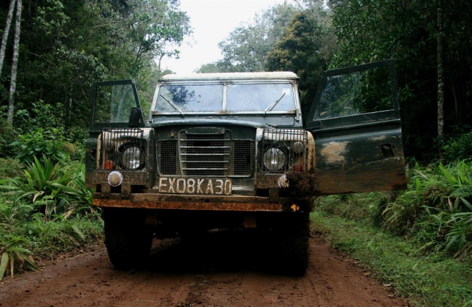 Гора Кения (Путешествие в колыбель Обамы - 4, Горный туризм, абердаре, батиан, африка)