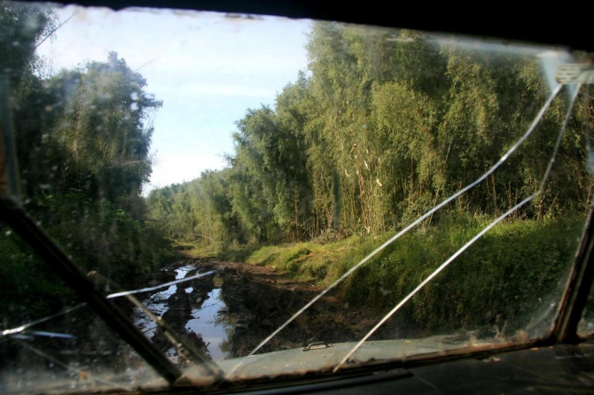 Гора Кения (Путешествие в колыбель Обамы - 4, Горный туризм, абердаре, батиан, африка)