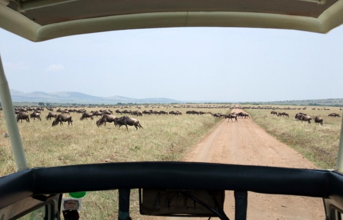 Гора Кения (Путешествие в колыбель Обамы - 4, Горный туризм, абердаре, батиан, африка)