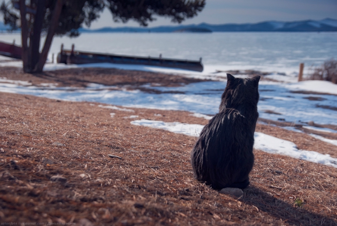 Экспедиция на коньках по льду Байкала (Бэккантри/Фрирайд, коньки, зима)