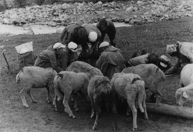 НОСТАЛЬГИЯ ПО ТЯНЬ-ШАНЮ. (Горный туризм, тянь-шань, терскей, маи)