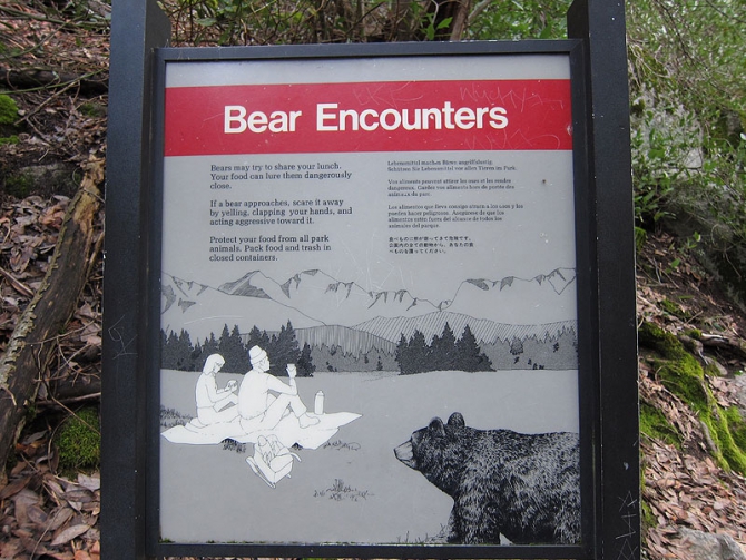 Он, она, медведь и кроссовки Asolo (Альпинизм, йосемити)