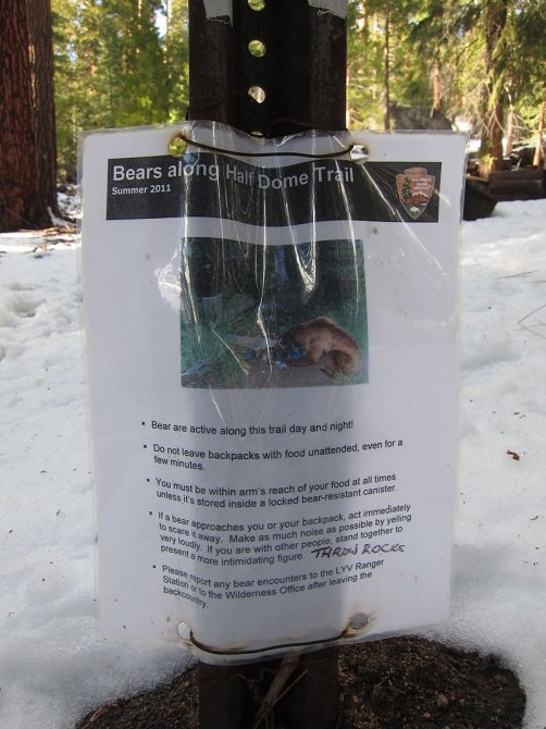 Он, она, медведь и кроссовки Asolo (Альпинизм, йосемити)