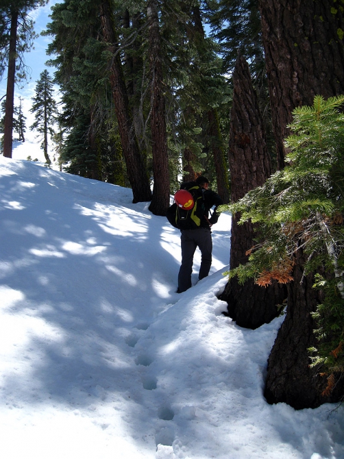 Он, она, медведь и кроссовки Asolo (Альпинизм, йосемити)