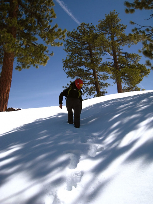 Он, она, медведь и кроссовки Asolo (Альпинизм, йосемити)