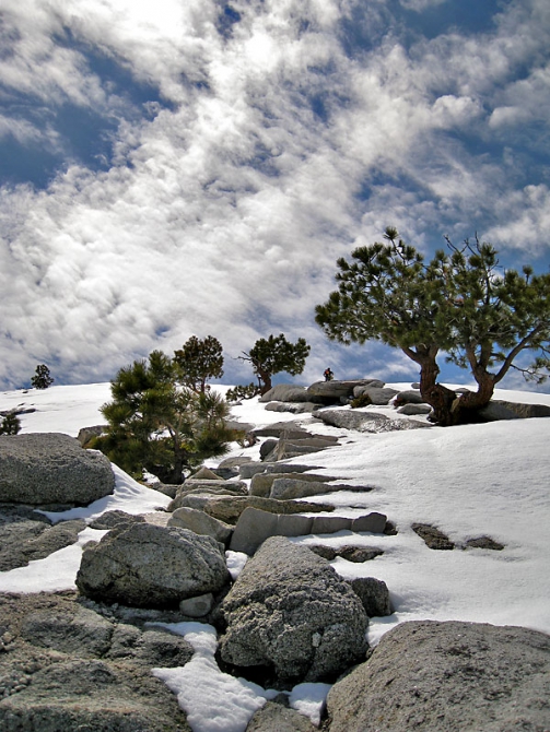 Он, она, медведь и кроссовки Asolo (Альпинизм, йосемити)