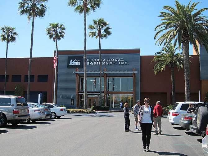 Оставляя суету городов... (Альпинизм, joshua tree, америка, zion women, джошуа)