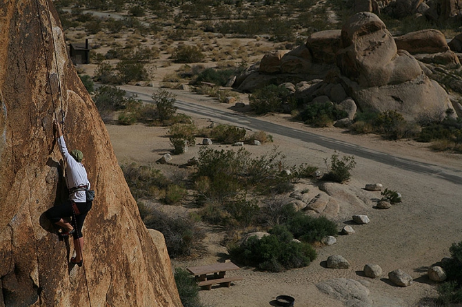 Оставляя суету городов... (Альпинизм, joshua tree, америка, zion women, джошуа)