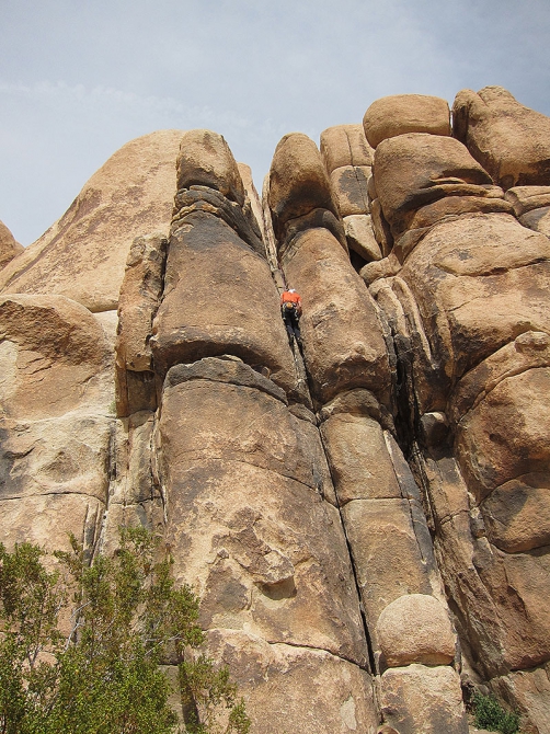 Оставляя суету городов... (Альпинизм, joshua tree, америка, zion women, джошуа)
