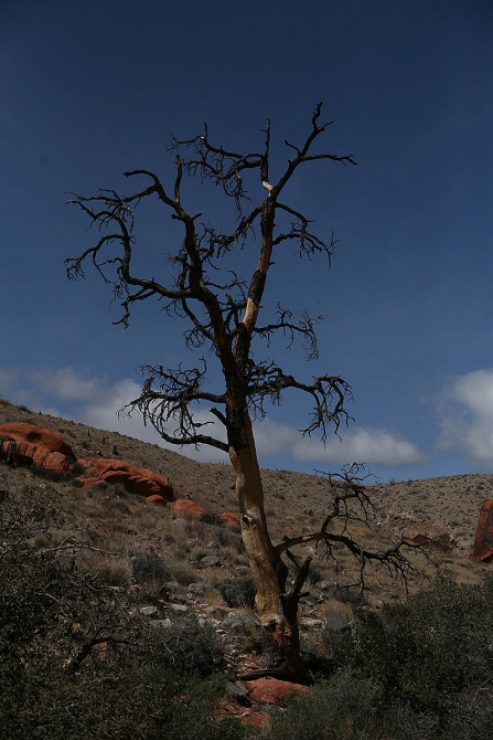 Путь в РедРокс и гора радуги (Альпинизм, redrocks)