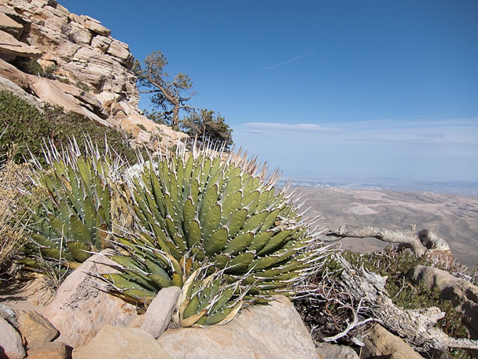Путь в РедРокс и гора радуги (Альпинизм, redrocks)