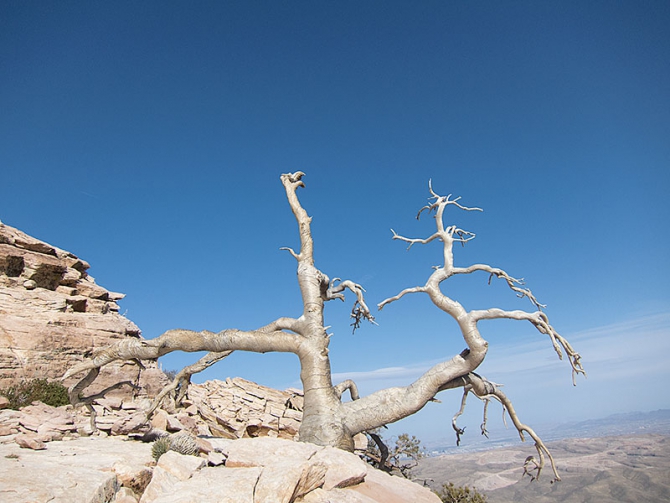 Путь в РедРокс и гора радуги (Альпинизм, redrocks)
