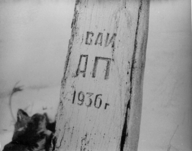 п."Черский"- п."Уэлен", 2000 км - 1992г (Путешествия)