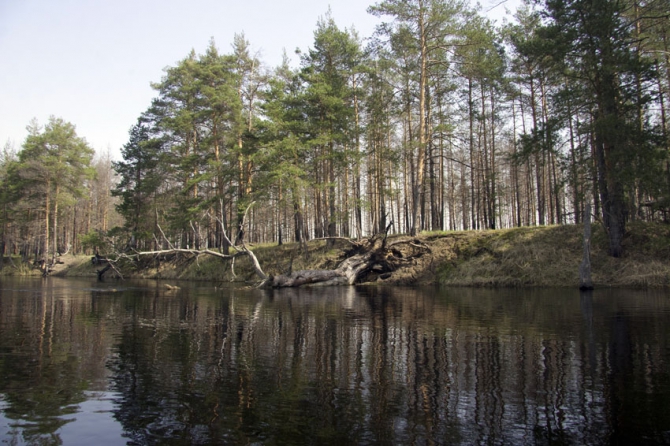 Фотодневник. Река Поля. Водный поход (Путешествия, подмосковье, май, байдарки, водные походы)