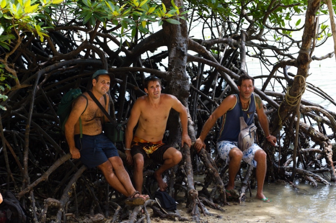 Фоторепортаж KRABI rock&fire international contest 2012 (Скалолазание, скалолазание, тайланд, тонсай)