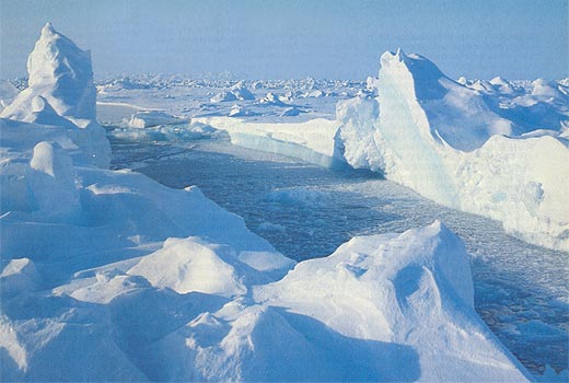 Северный полюс 18 лет назад (Путешествия, лыжи, полярная экспедиция)