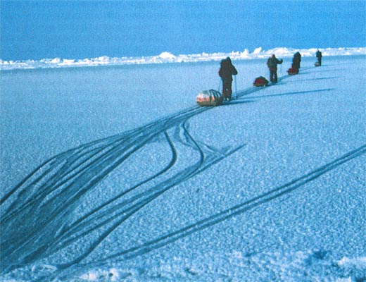 Северный полюс 18 лет назад (Путешествия, лыжи, полярная экспедиция)