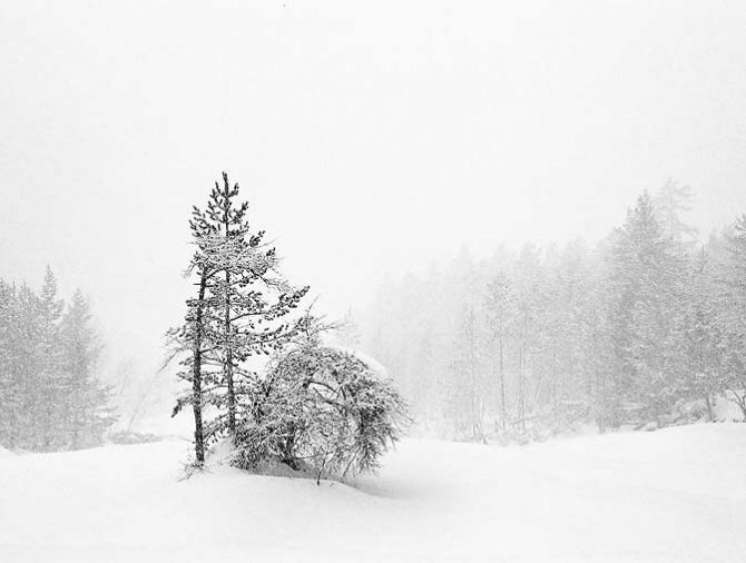 Про снег (фото, горы, пейзажи)