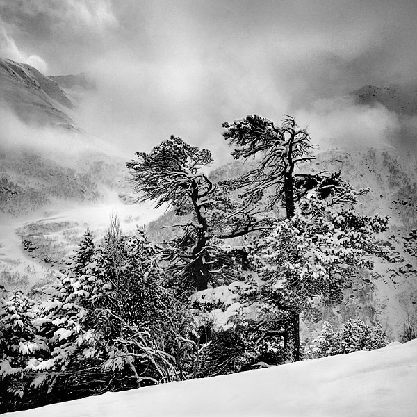 Про снег (фото, горы, пейзажи)