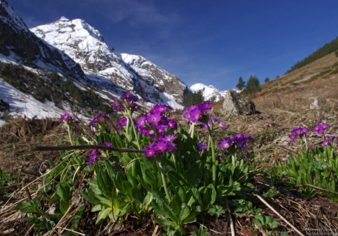 Май-2012. Фотопутешествие (Горный туризм, мурсалы, гаралыкол, черенкол, джиылсу, кавказ, приэльбрусье, горы, балкбаши, артыкчат, эльбрус)