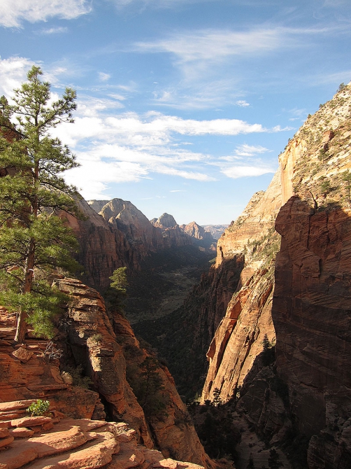 Возвращение в Зион… (Скайраннинг, zion, zion women climbing fest)