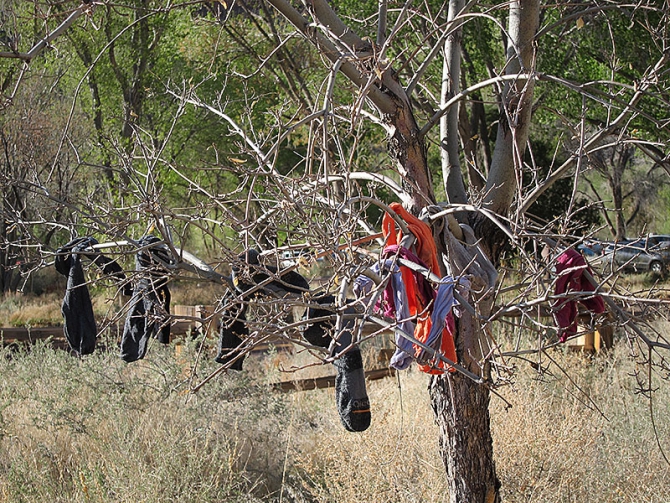Возвращение в Зион… (Скайраннинг, zion, zion women climbing fest)