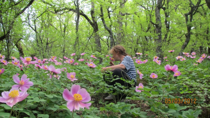 Повествование с цитатами из Н.Носова и картинками от участников "Как мы на "Незнаек" ходили". (Альпинизм, крым, скалолазание, "незнайки на луне")
