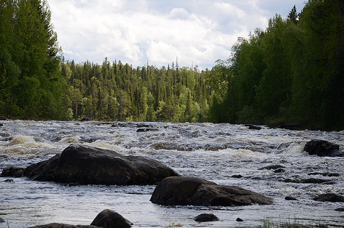 Вести с Белого моря (Мультигонки, мультиспорт, карелия, red fox adventure race)