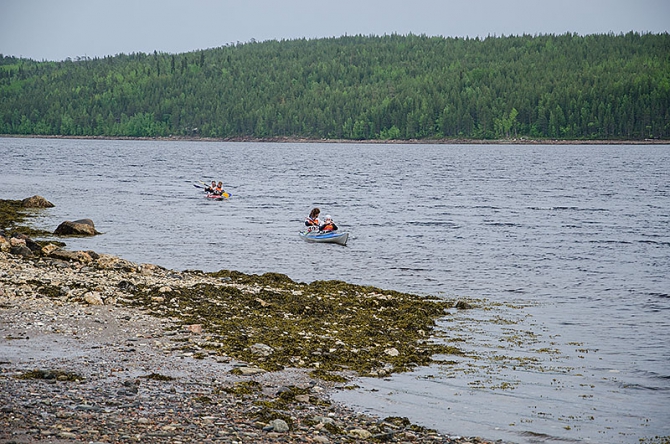 Вести с Белого моря (Мультигонки, мультиспорт, карелия, red fox adventure race)