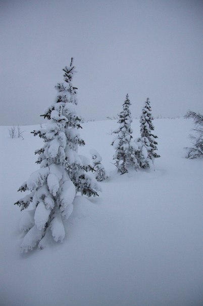 В поисках зимнего лазанья (Альпинизм, хибины, бастион вудьявра, вудъявра, вера, високосный день, headwall attack, сивера, sivera, sivera team, grivel, юкспор, скалы мгу, 2б, щель надежности, ребро жесткости, маршруты в хибинах, сотник, нефедов, романов, юшман)