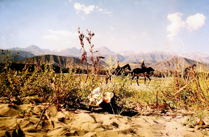 ИСПОЛНЕНИЕ ЖЕЛАНИЙ (Скайраннинг)