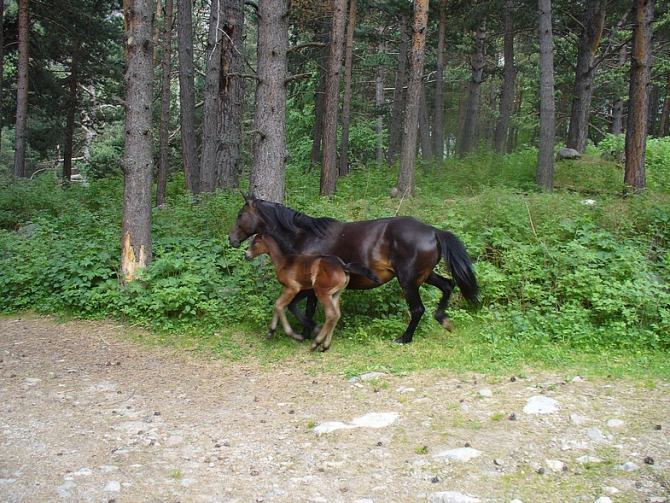 Адыл-Суу,Джантуган,Очаг !!! (Альпинизм)