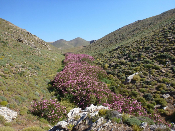 СЕМЬЯ МУРАДОВЫХ ВЫБИРАЕТ КРИТ! (Путешествия, каньонинг, canyoning)